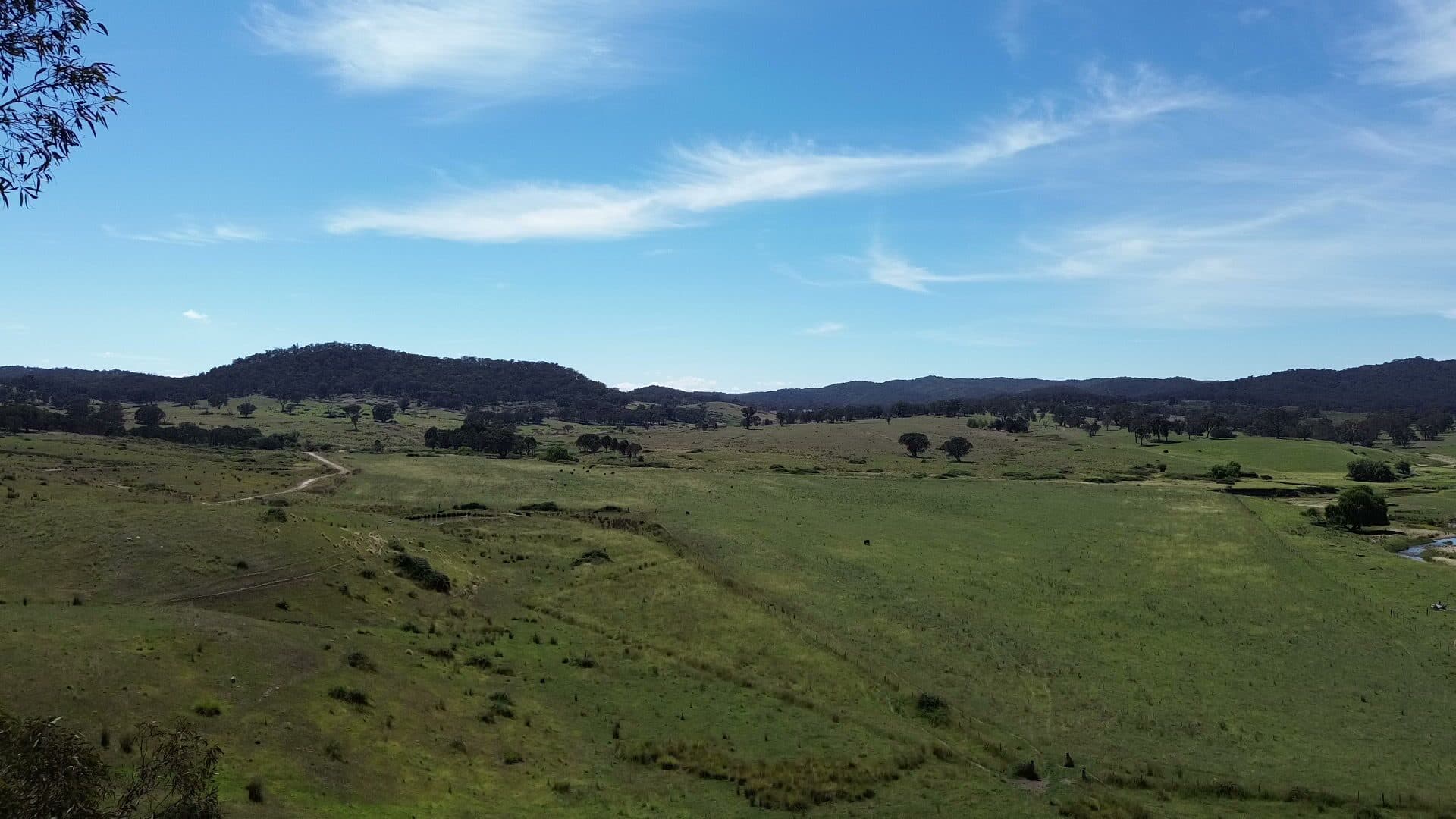 Aerial view over Cooksvale East, a real Fresh Earth farm in New South Wales: regenerating green pasture, scattered gums, a creek line and timbered ridges under open sky